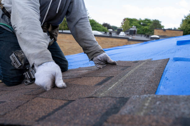 Best Metal Roofing Contractor  in Anacoco, LA