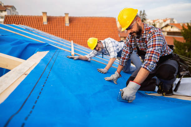 Best Residential Roofing Contractor  in Anacoco, LA