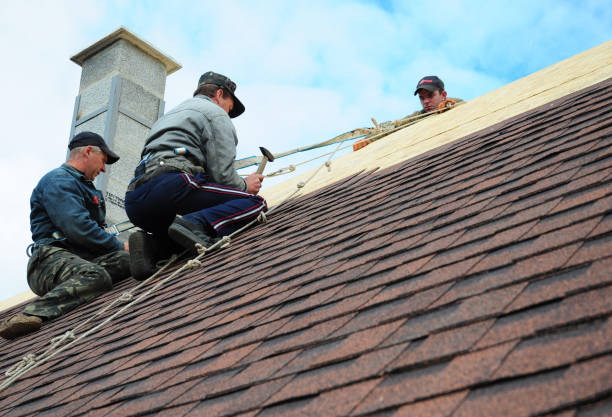 Best Residential Roofing Contractor  in Anacoco, LA