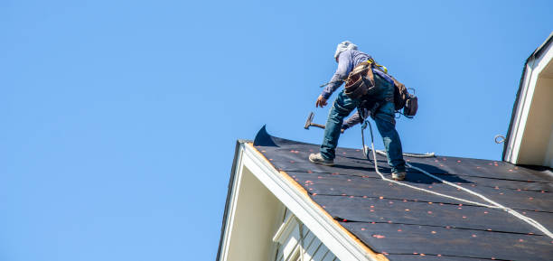 Best Local Roofing Companies  in Anacoco, LA